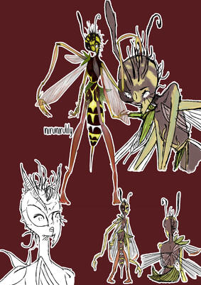 Price example: €35