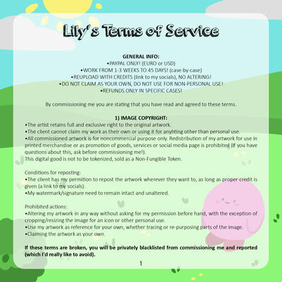 Lilys terms of service page 1